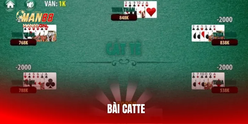 bai-catte