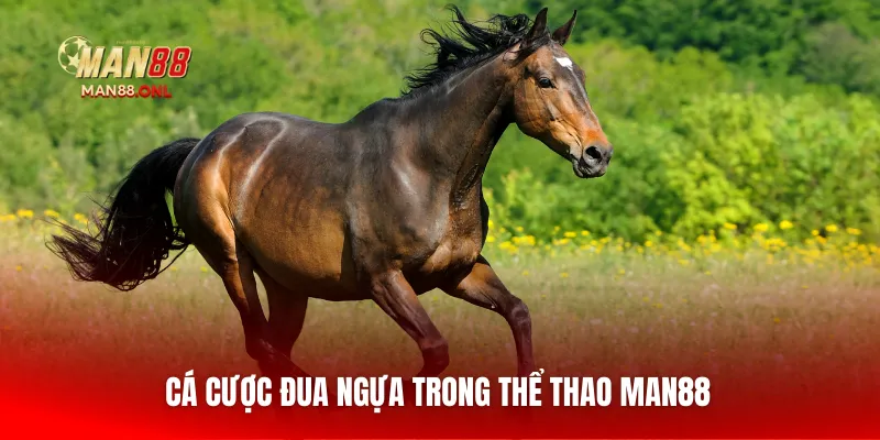 Cá cược đua ngựa trong thể thao Man88
