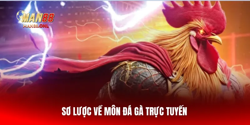 Sơ lược về môn Đá gà trực tuyến