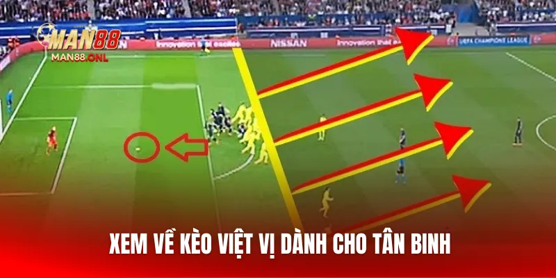 Xem về kèo việt vị dành cho tân binh