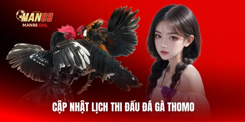 Cập nhật lịch thi đấu đá gà Thomo