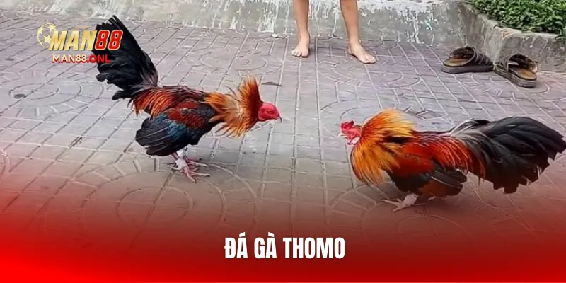 da-ga-thomo
