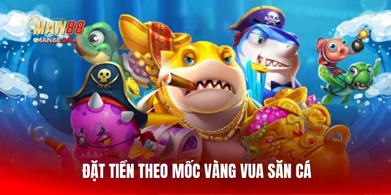 Đặt tiền theo mốc vàng vua săn cá