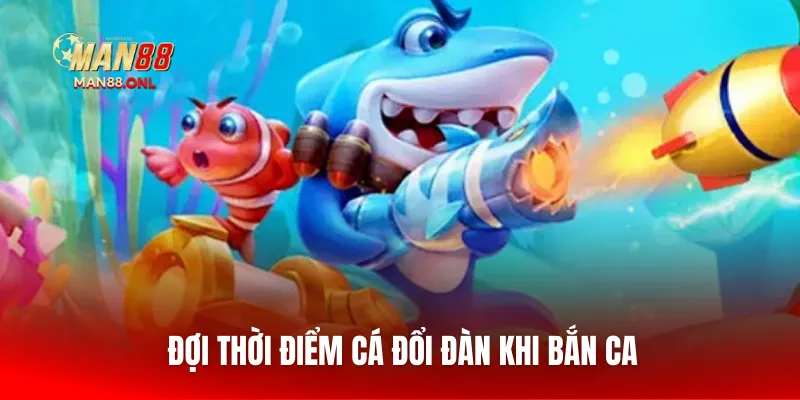 Đợi thời điểm cá đổi đàn khi bắn ca