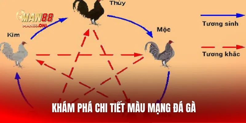 Khám phá chi tiết màu mạng đá gà