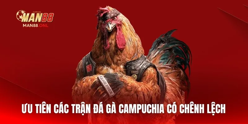 Ưu tiên các trận đá gà Campuchia có chênh lệch 
